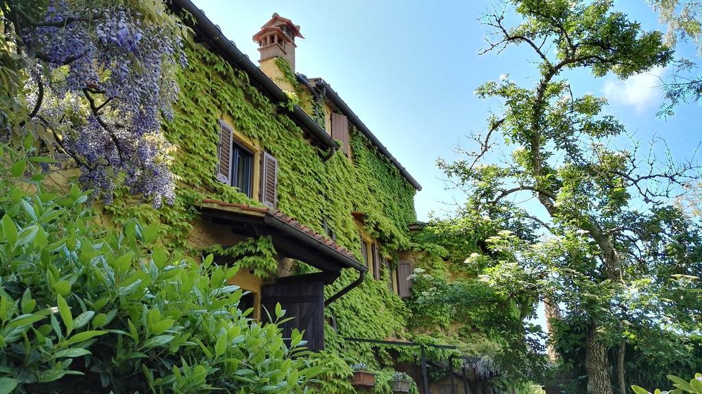 B&B Le Due Volpi วิคคิโอ ภายนอก รูปภาพ